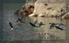 ̩񼯡