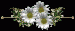 [Ҷӵ]֮